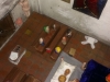 IMAG0244